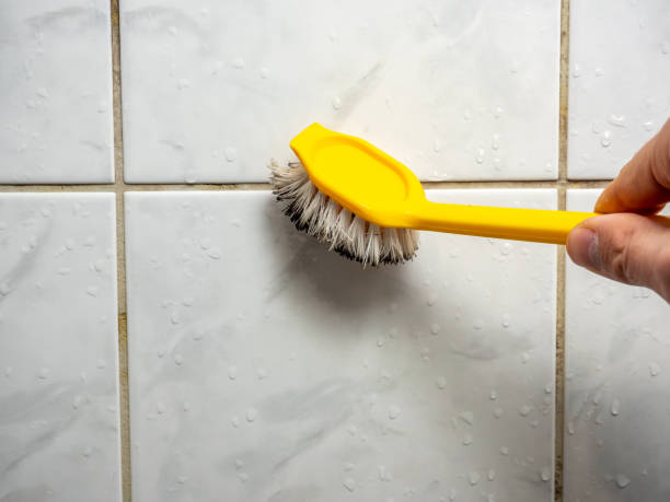 Best Local Mold Removal Service  in Plattsburgh West, NY